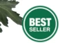 BEST SELLER