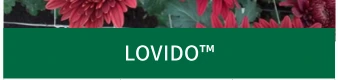 LOVIDO™