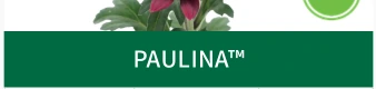 PAULINA™