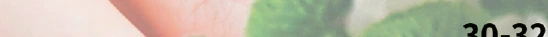....................................................................... 30-32