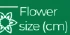 Flower size (cm)