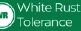White Rust Tolerance