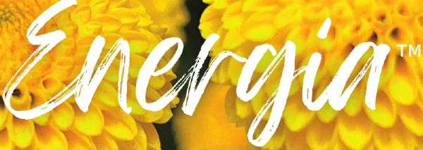 Energia™