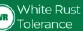 White Rust Tolerance