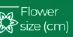 Flower size (cm)