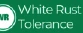White Rust Tolerance