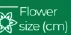 Flower size (cm)