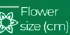 Flower size (cm)
