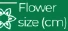 Flower size (cm)