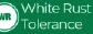 White Rust Tolerance