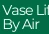 Vase Life By Air