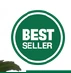 BEST SELLER