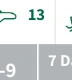 13