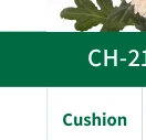 Cushion