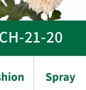 Spray