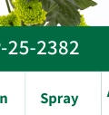 Spray