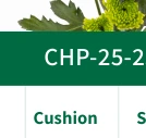 Cushion