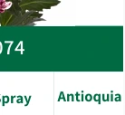 Antioquia