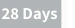 28 Days