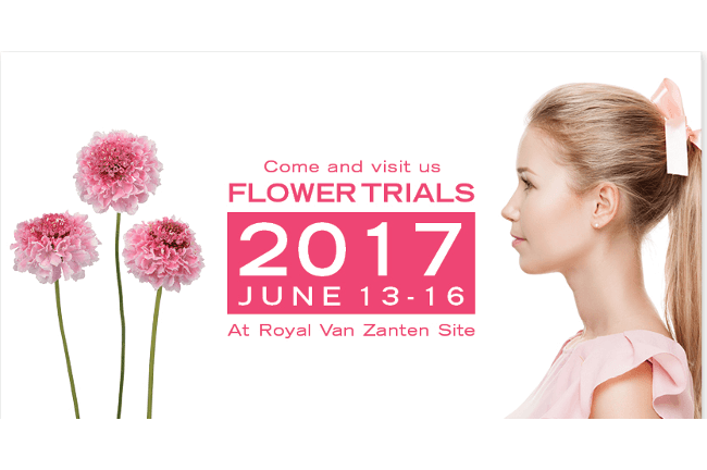 Flower trials 2017