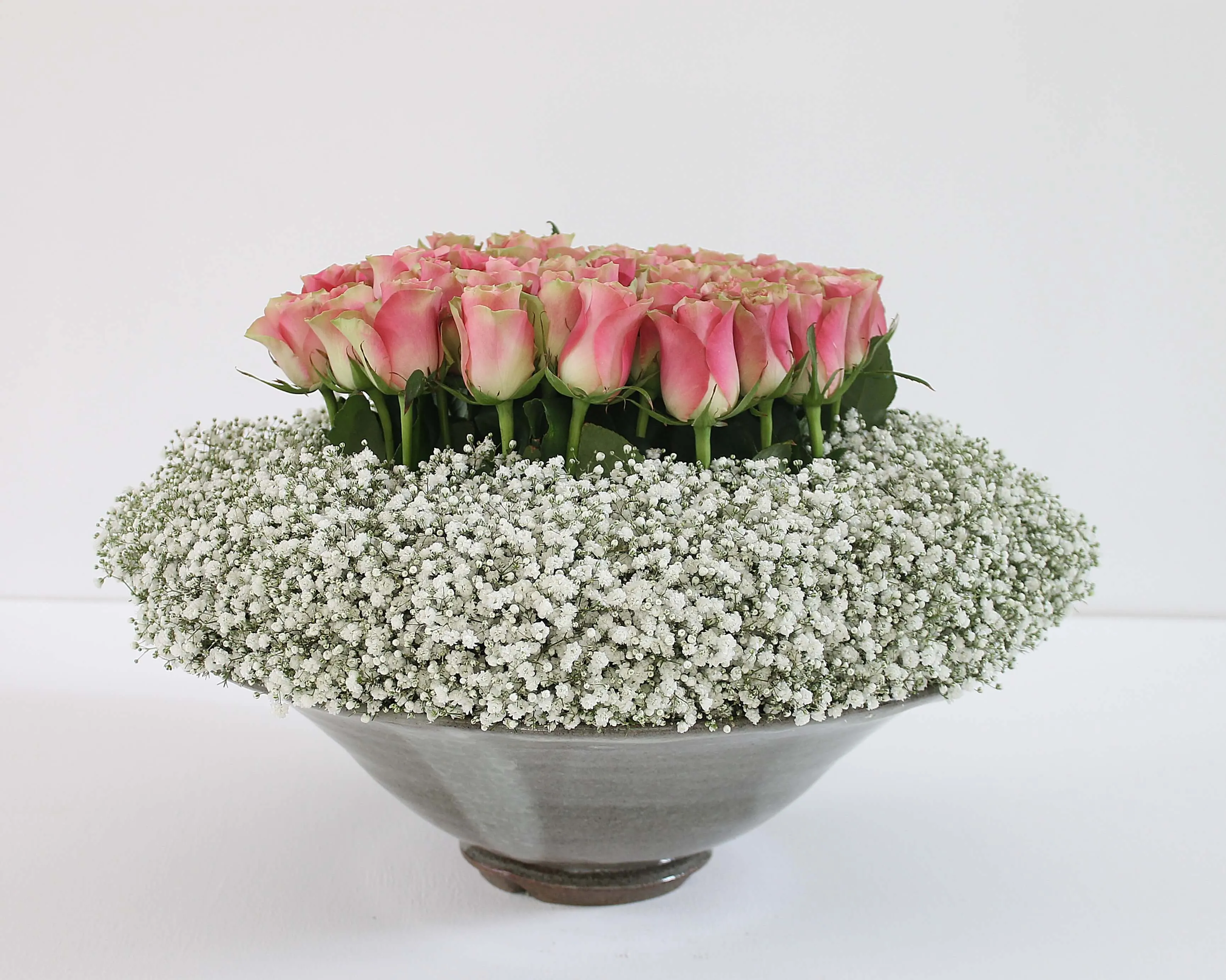 Gypsophila White victoria