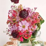 Scabiosa- SCOOP® from catalog
