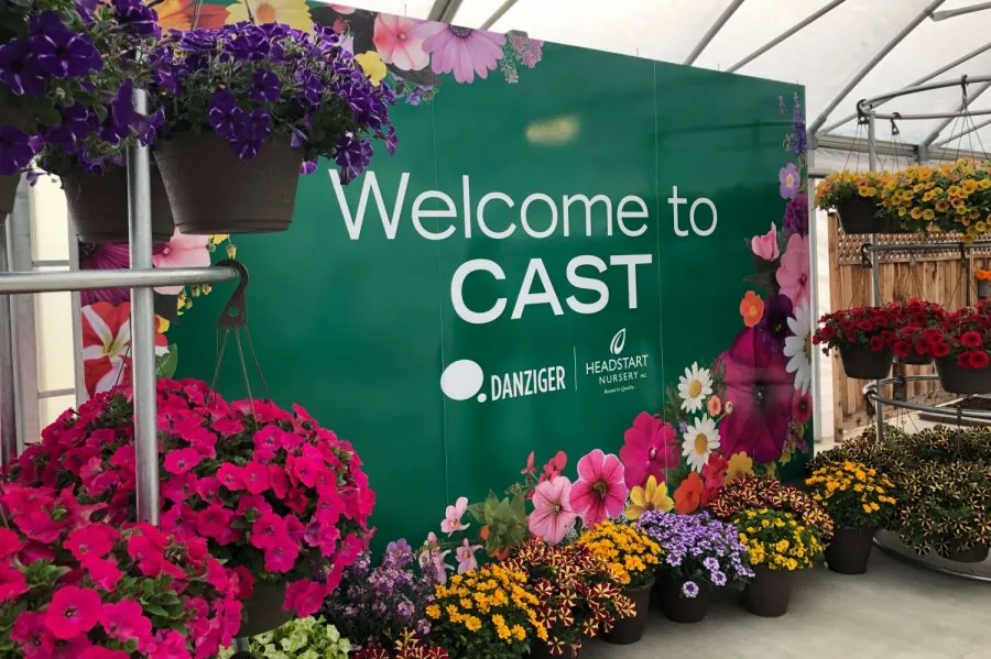 Danziger varieties CAST 2019
