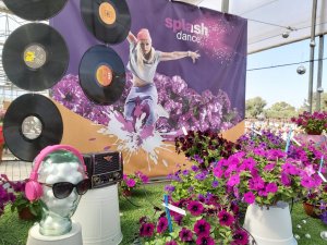 SPLASH DANCE™ Bolero Blue, Magenta Mambo and Purple Polka SPLASH DANCE™Bolero Blue, Magenta Mambo and Purple Polka