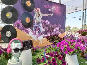 SPLASH DANCE™ Bolero Blue, Magenta Mambo and Purple Polka SPLASH DANCE™Bolero Blue, Magenta Mambo and Purple Polka