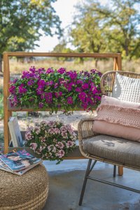 VANESSA™ COMPACT VANESSA™ COMPACT