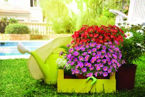 MEGA PAZZAZ ™ MEGA PAZZAZ ™