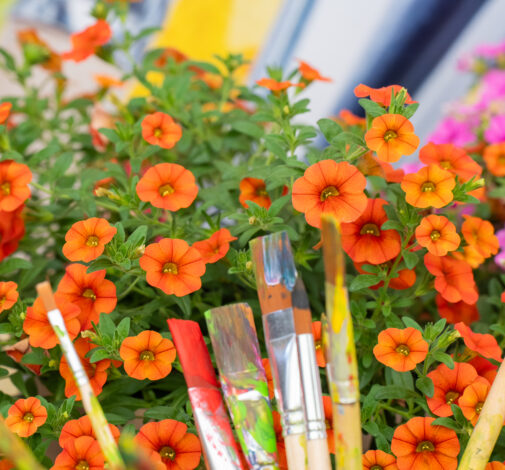 Colibri™ Orange - Danziger