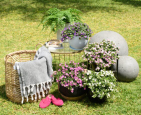 Scopia® Gulliver Compact White