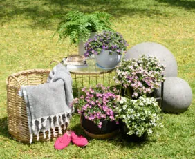 Scopia® Gulliver Compact White