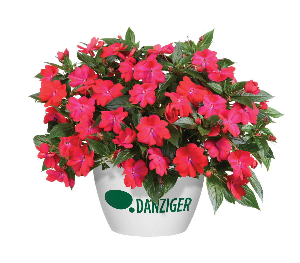 Harmony® Colorfall™ Neon Red - Danziger