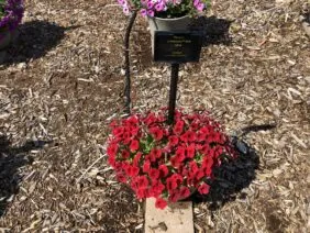Littletunia® Bright Red