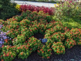 Gem™ Compact Orange Fire