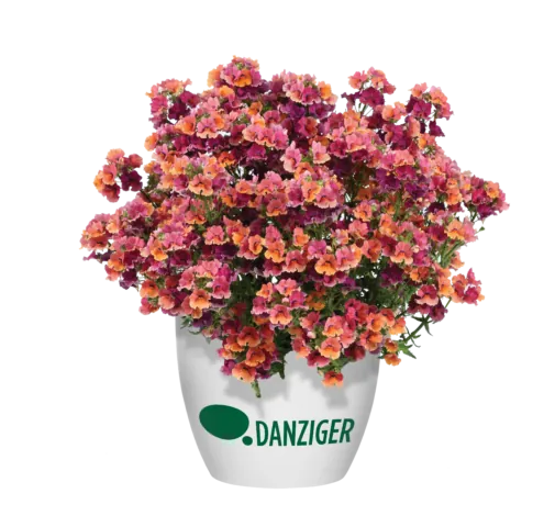 Nesia™ Tropical