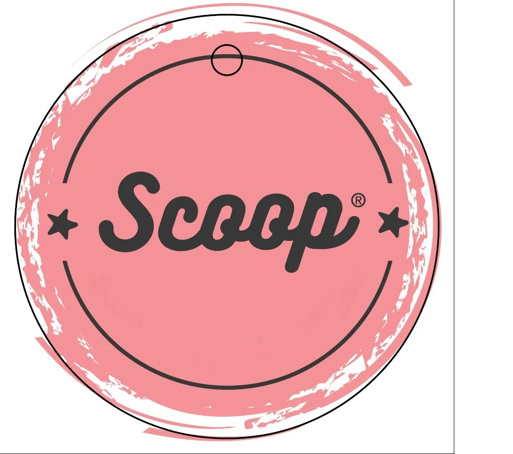 SCOOP-tag2 – דנציגר