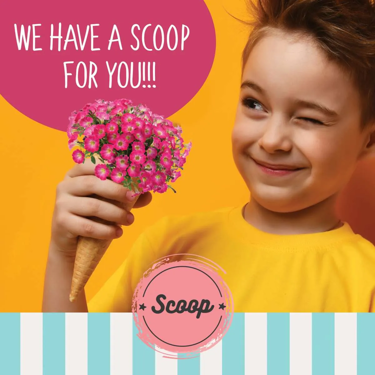 scoop3 – דנציגר