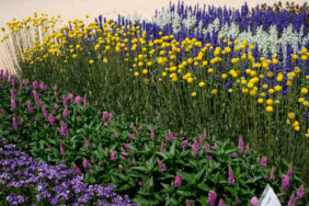 GOLF ™ Beauty Improved