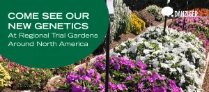 NA trials – מתוך "Come see our new genetics At Regional Trial Gardens Around North America" | דנציגר