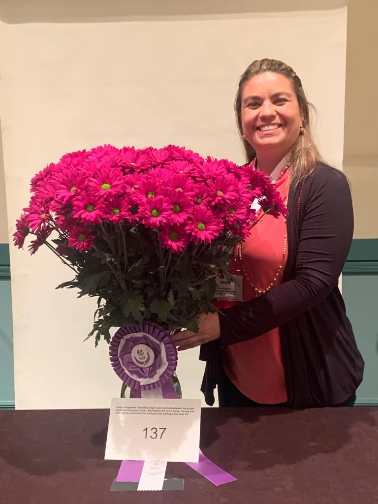 AMOR CANDY2 – מתוך "A new game-changing chrysanthemum at SAF’s Outstanding Varieties" | דנציגר