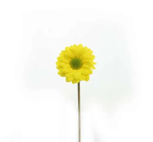 ESPERANZA™ SOLAR