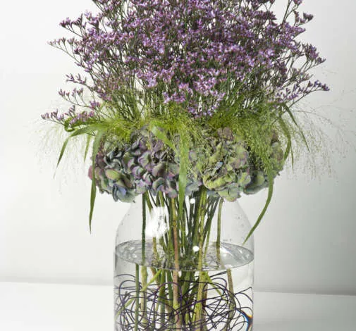 SAFORA™ LILAC