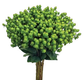 GLOBO™ APPLEGREEN
