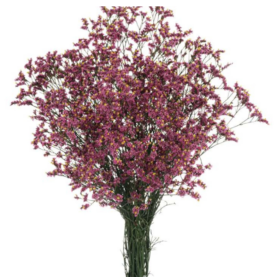 SENSY™ PINK BEAUTY