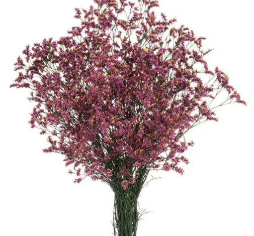SENSY™ PINK BEAUTY