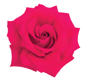 SENTI® FRENCH KISS KENYA