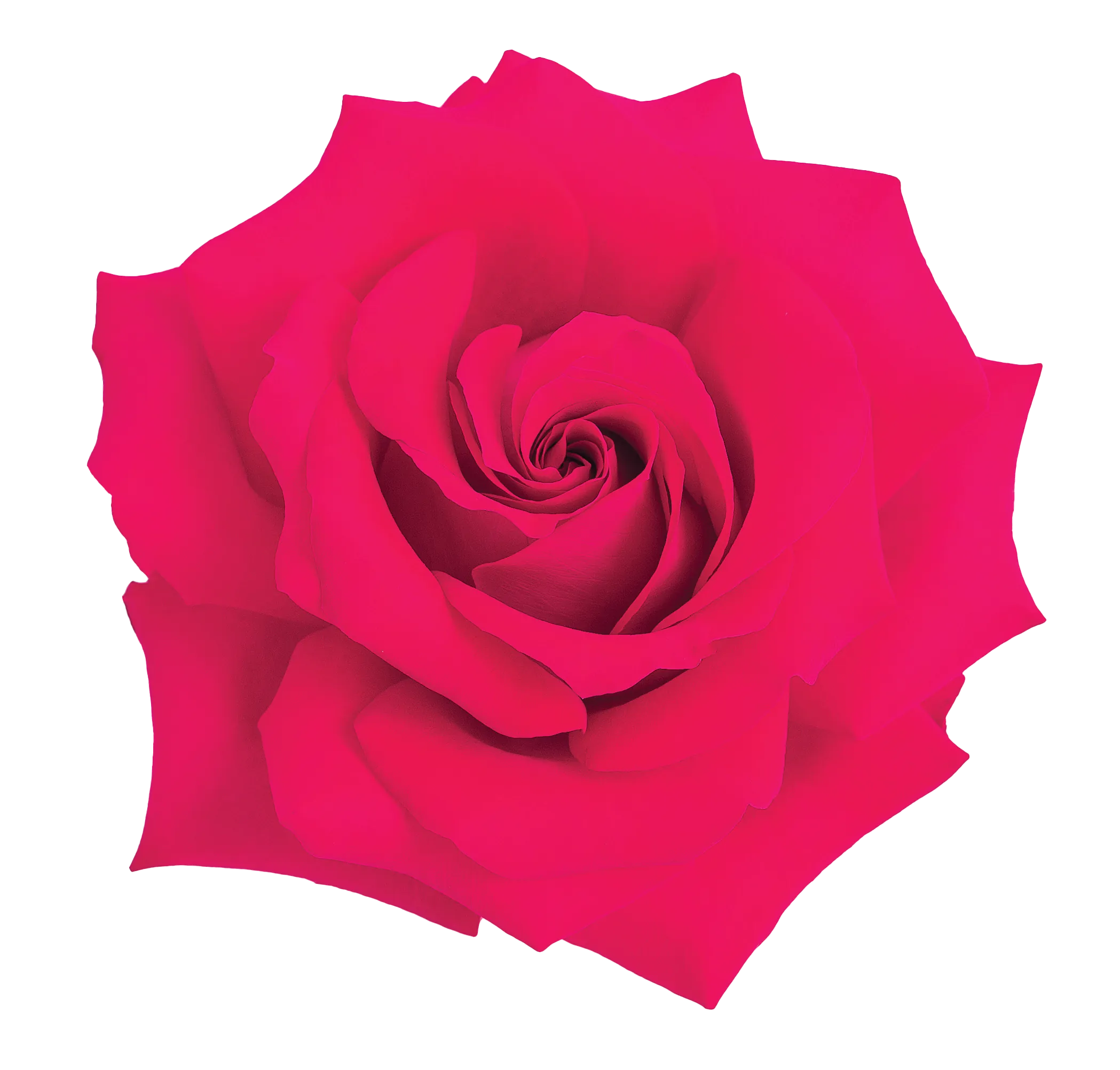 Senti-French-Kiss-Open.png.webp